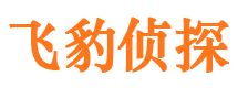 巴青寻人公司